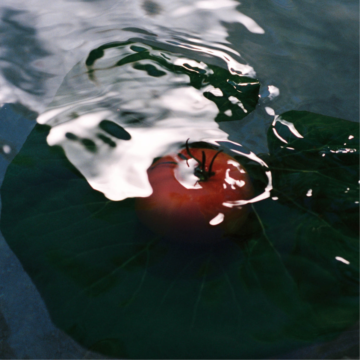 Heirloom Tomato Candle - Flamingo Estate