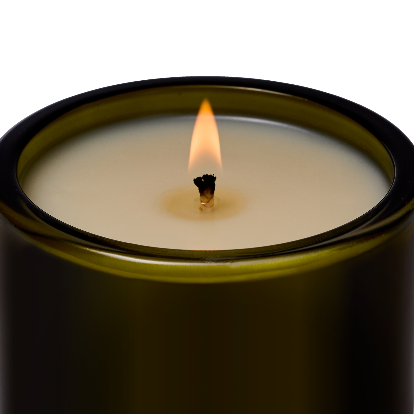 MEMBERS FREE GIFT: Douglas Fir & Ancient Vetiver Candle - Flamingo Estate
