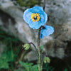 Blue Poppy Alpine Soap Brick