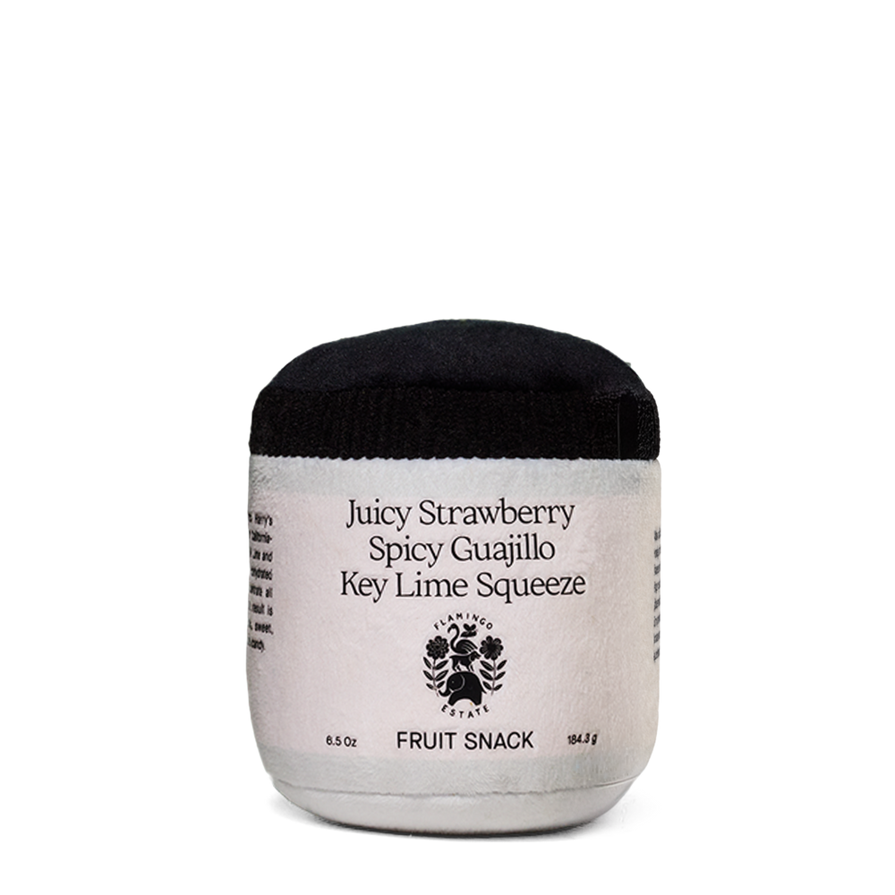 Spicy Strawberry Jar Dog Toy
