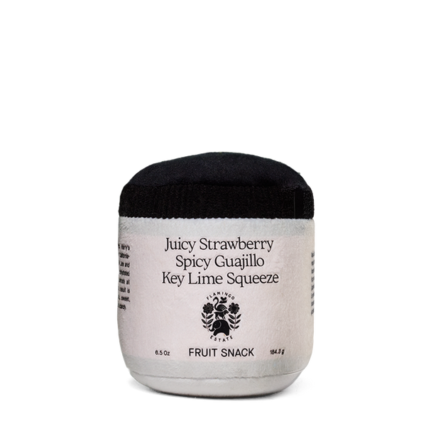 Spicy Strawberry Jar Dog Toy