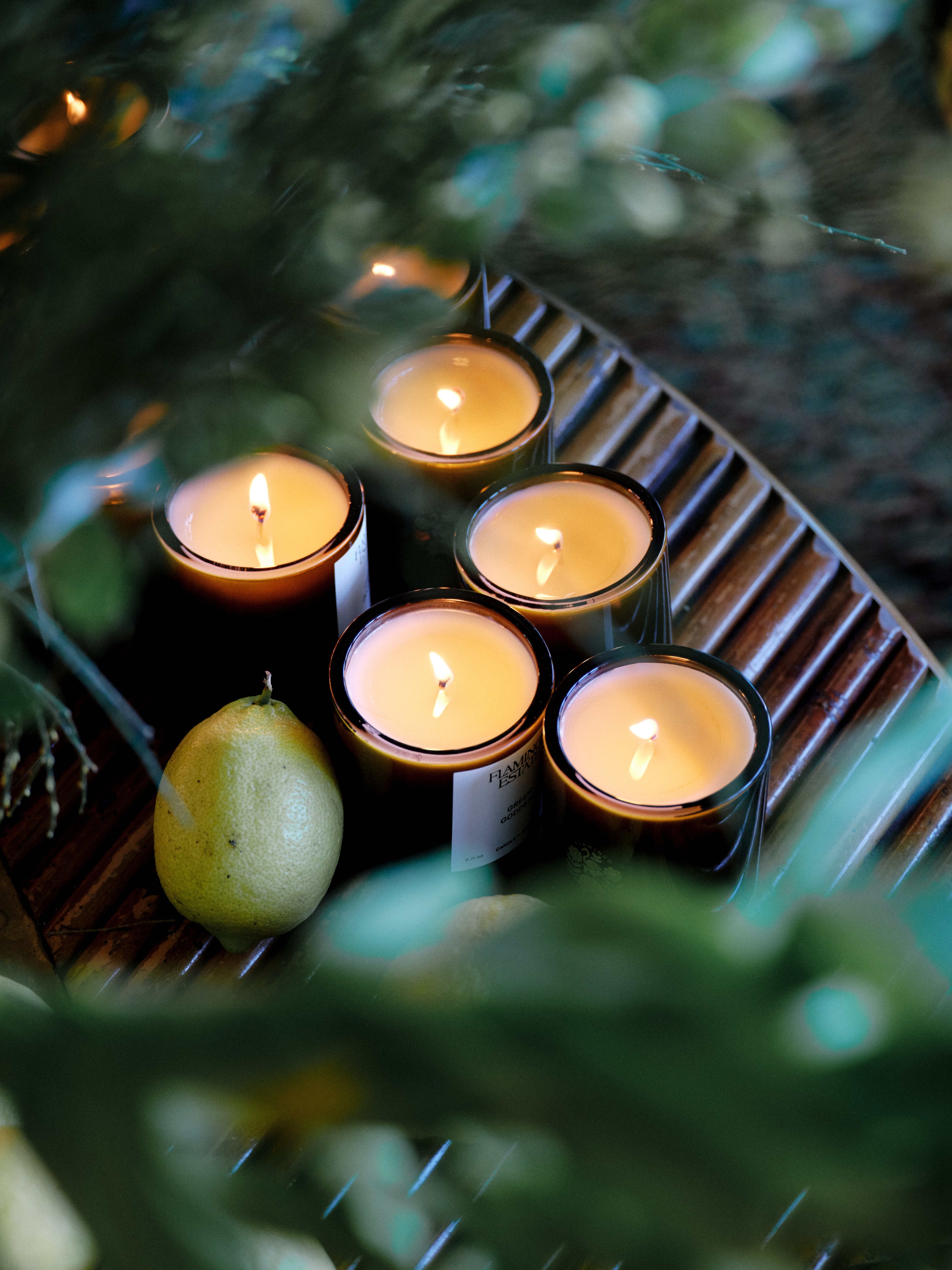 The Candle Greats Kit – Flamingo Estate