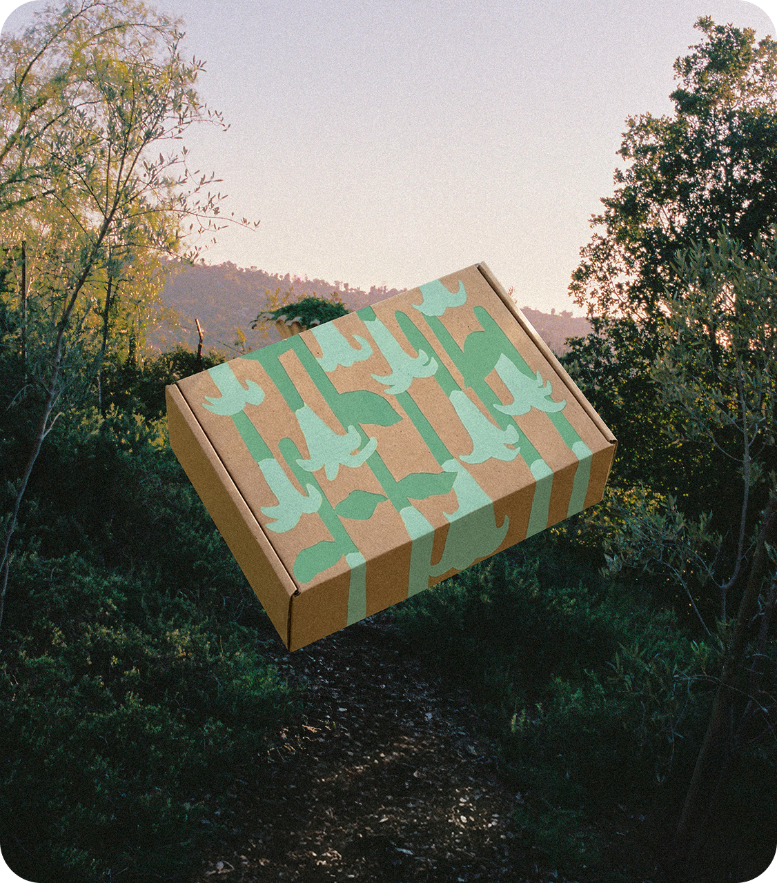 Secret Garden Box