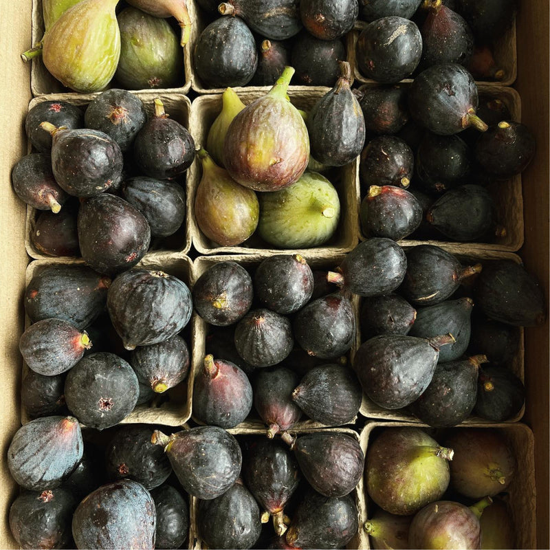 Fig Balsamic Vinegar - Flamingo Estate