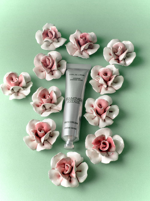 Flamingo Estate Jasmine Damask Rose Rich Cream