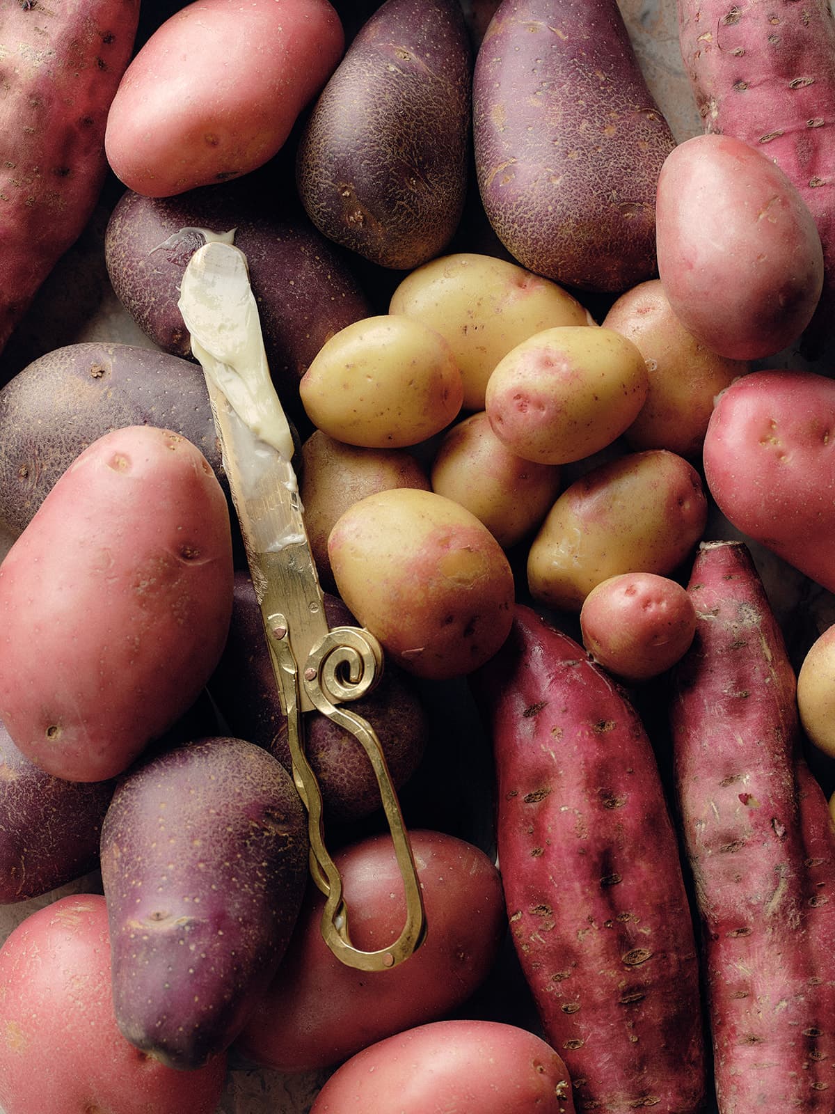 A variety of colorful potatoes are arranged closely together.