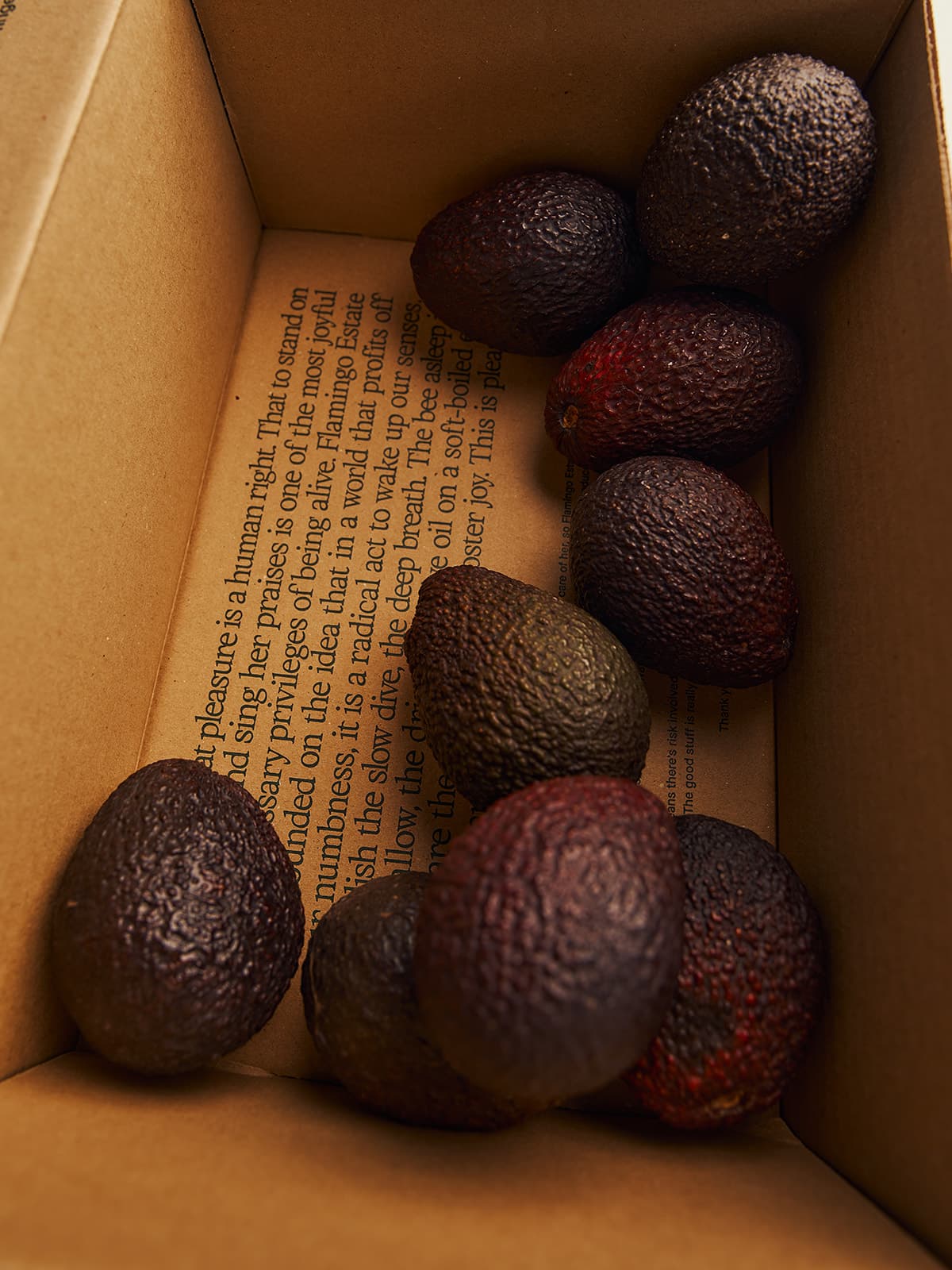 Organic Avocado Box - Flamingo Estate