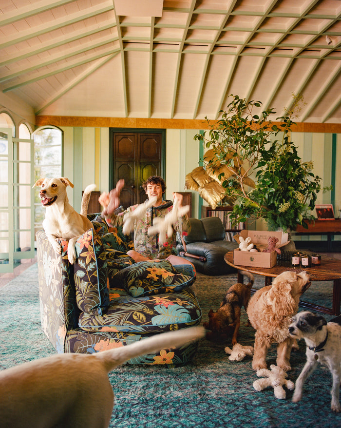 A Valentine’s Woof