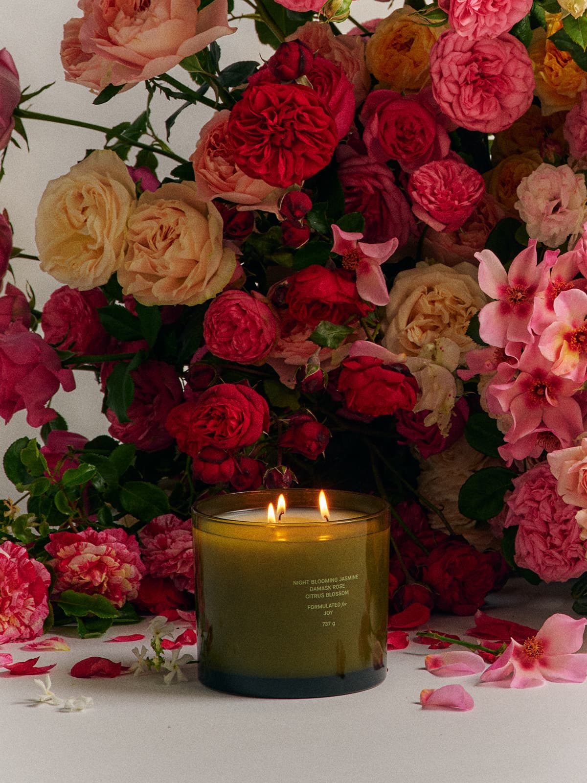 Jasmine Damask Rose XL Candle - Flamingo Estate