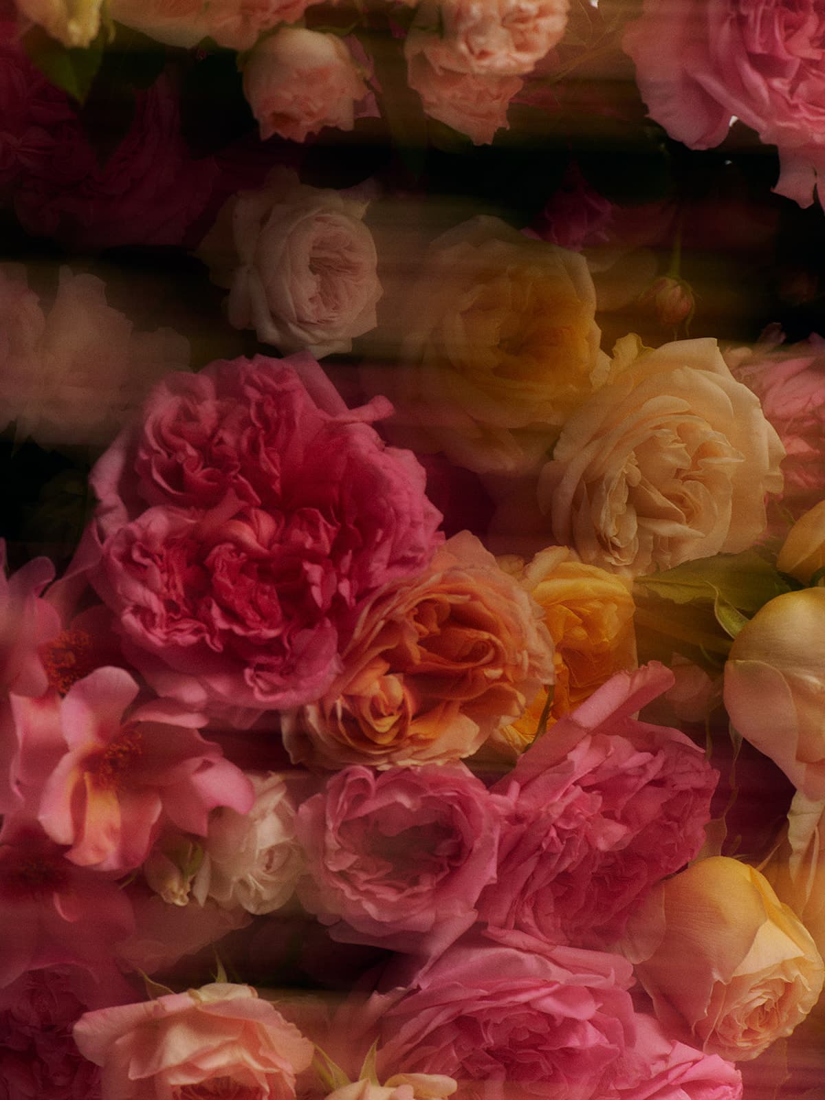 Mini Jasmine Rose Candle