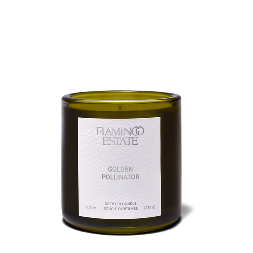 Flamingo Estate Golden Pollinator Candle