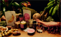 Seasonal Subscription Box