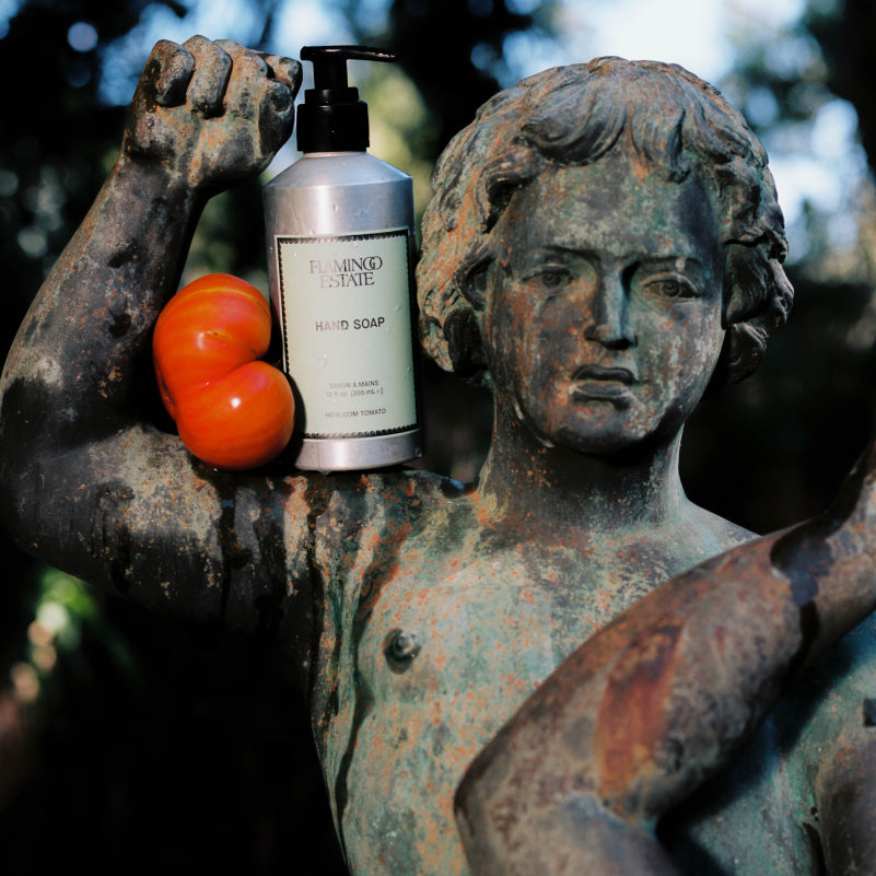 Heirloom Tomato Hand Soap - Flamingo Estate