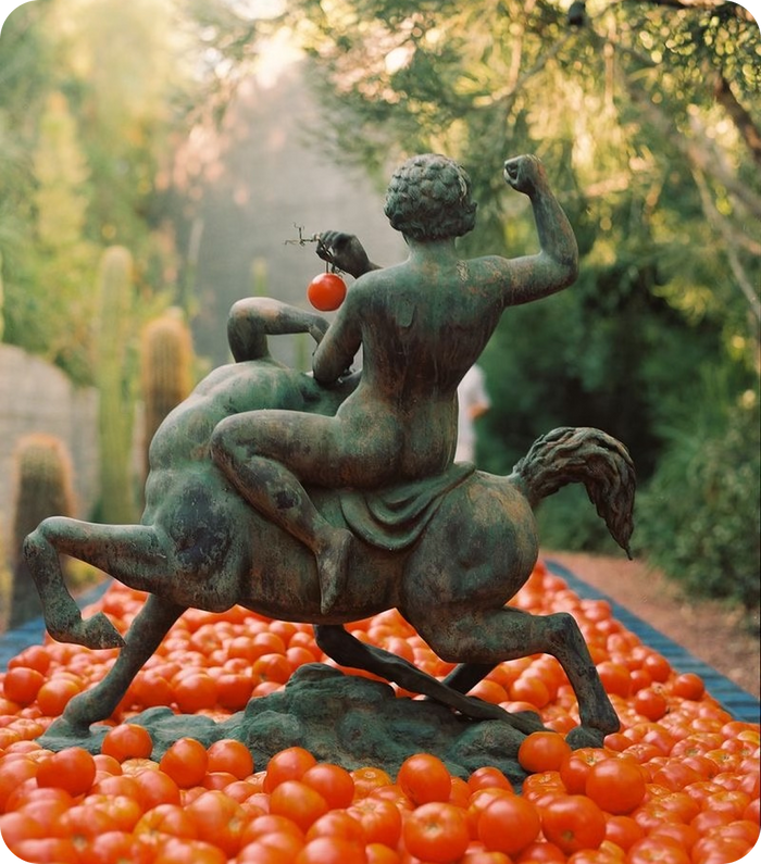 To Love <br> The Tomato