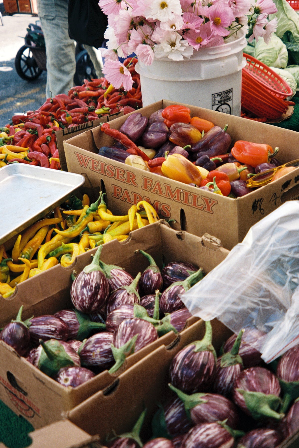 The Regenerative Farm Box - Flamingo Estate