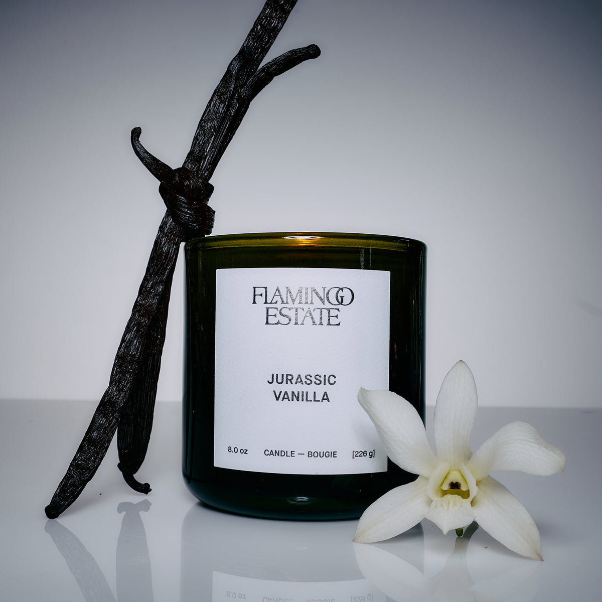 Jurassic Vanilla Candle - Flamingo Estate