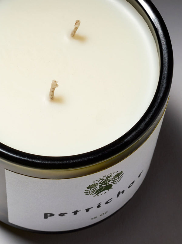Petrichor (The Smell After Rain) Soy Wax Candle – The Hundredth Acre