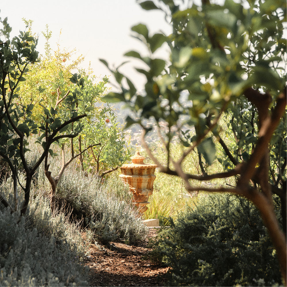 Oversized Lavender Bag