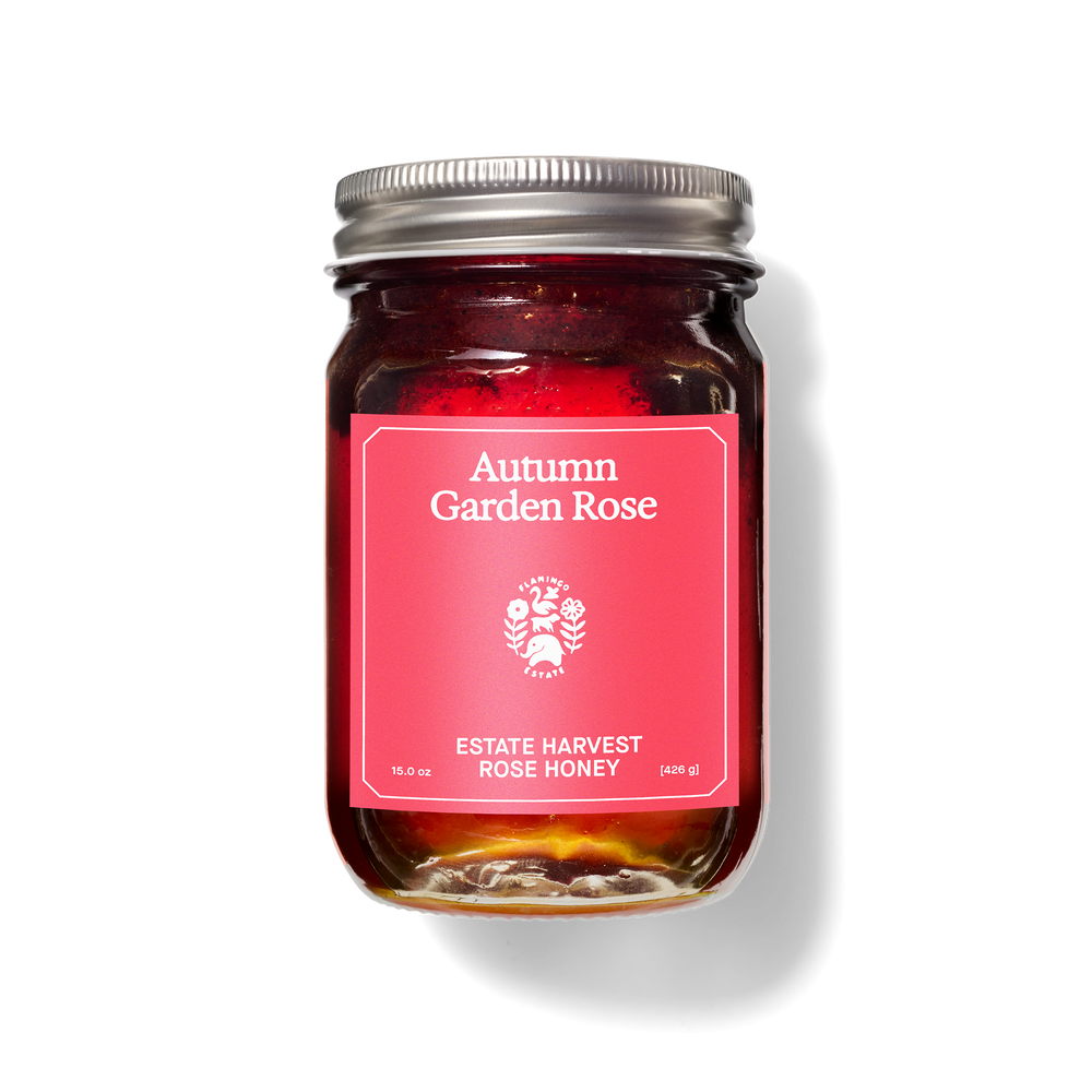 Autumn Garden Rose Estate Honey - Flamingo Estate