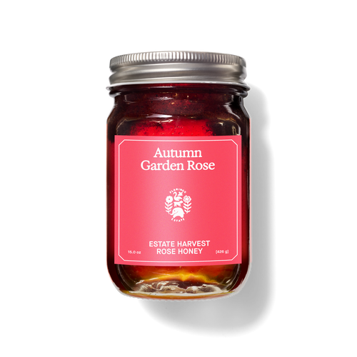 Flamingo Estate Autumn Garden Rose Estate Honey