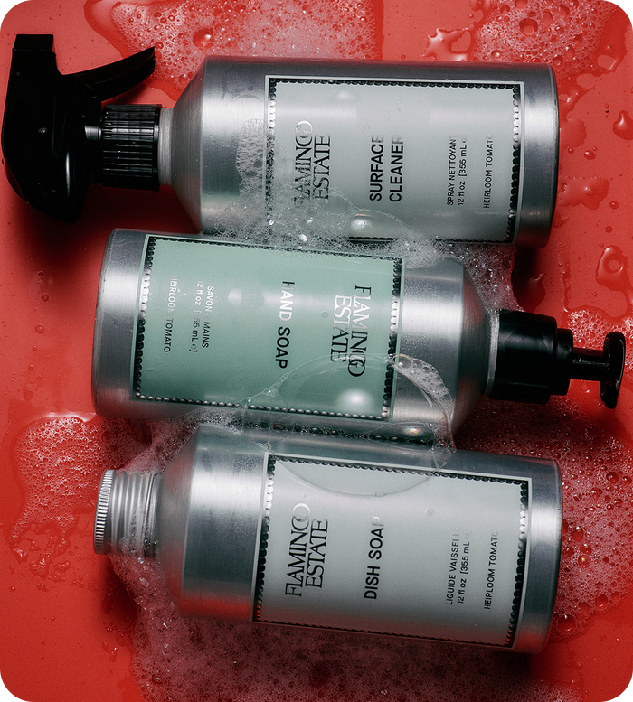 The Holiday Clean-Up