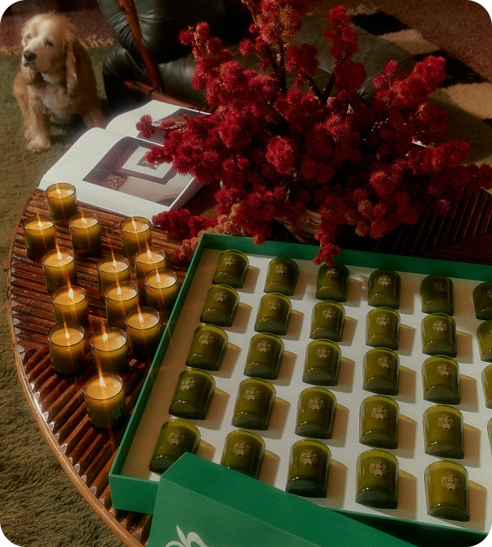 A Warm and<br> Cozy Home