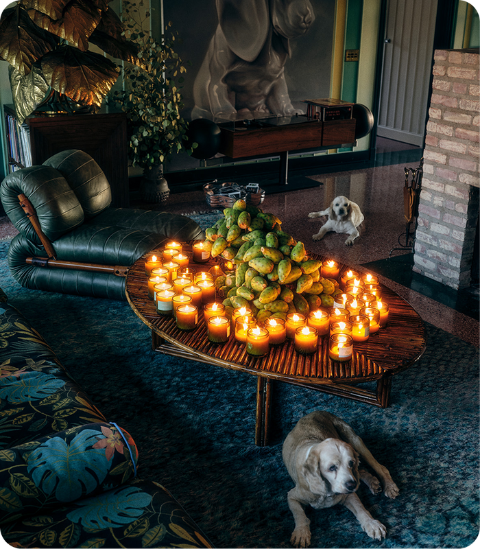 Brightest<br> Holiday Lights