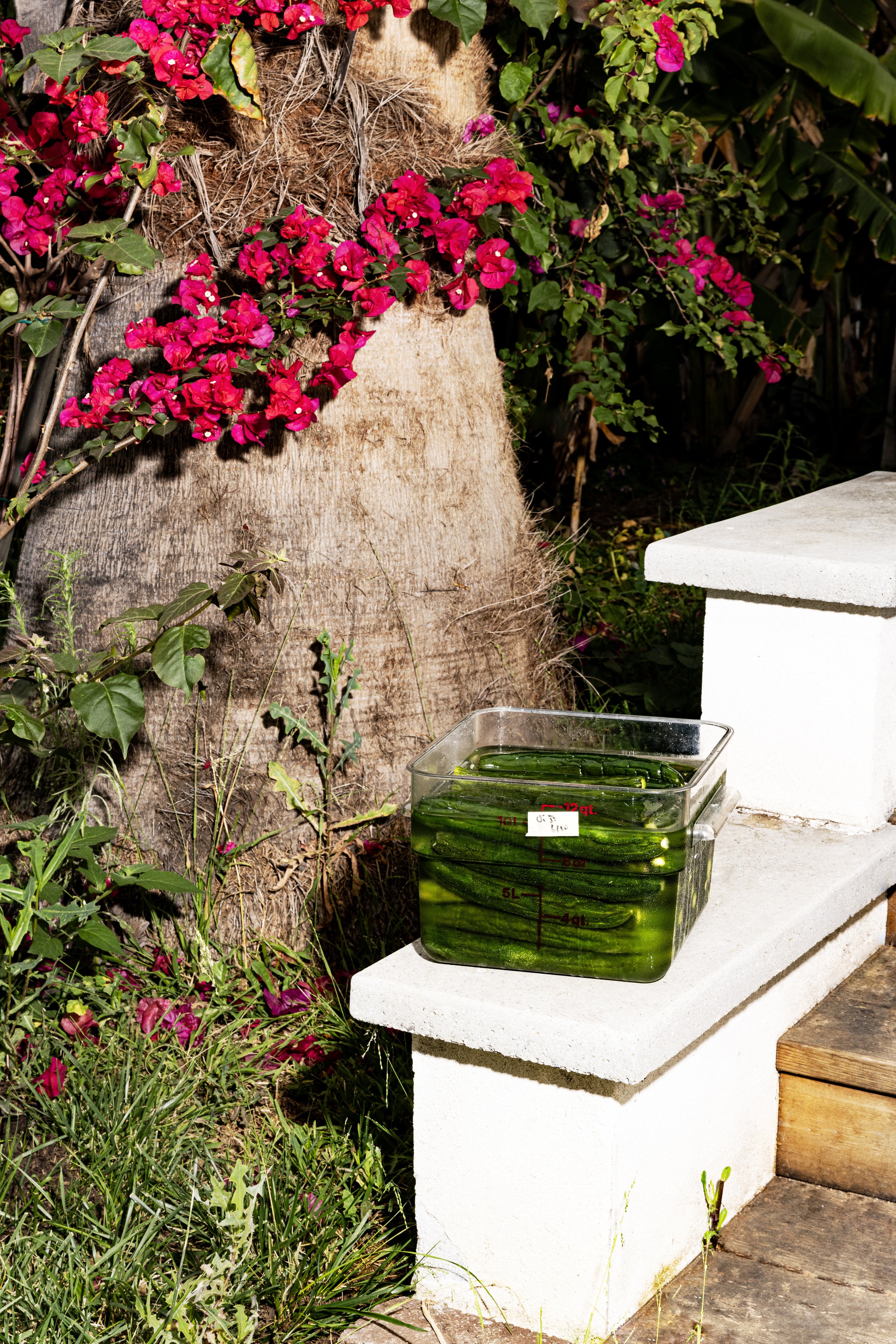The Regenerative Farm Box - Flamingo Estate
