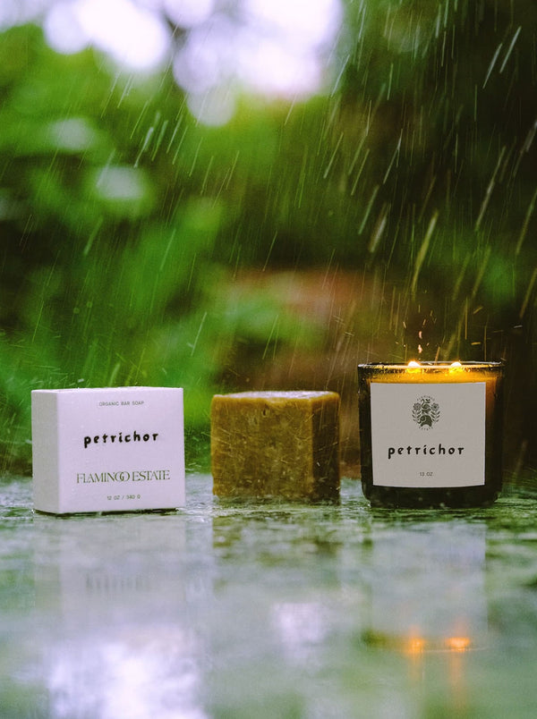 Petrichor (The Smell After Rain) Soy Wax Candle – The Hundredth Acre