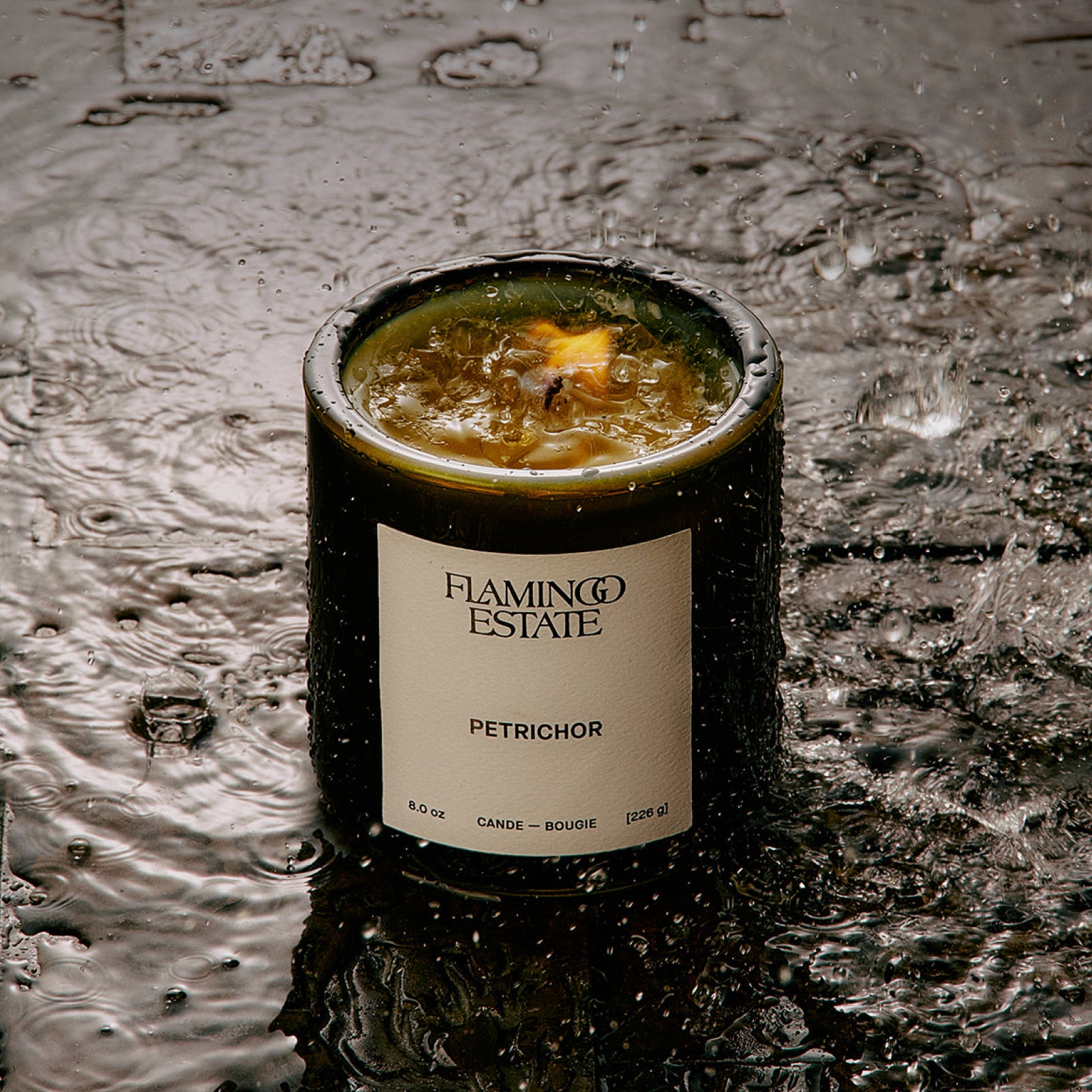Petrichor Candle – Flamingo Estate