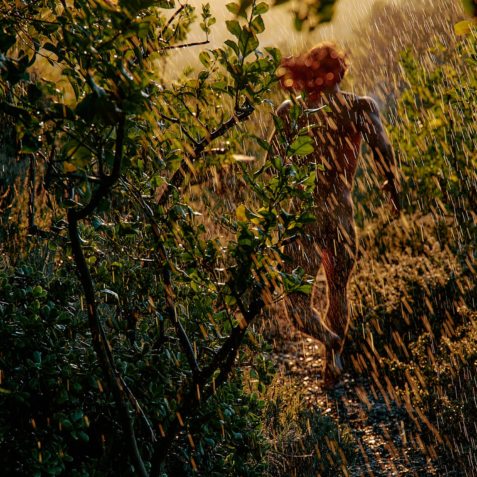 Petrichor Soap Brick - Flamingo Estate