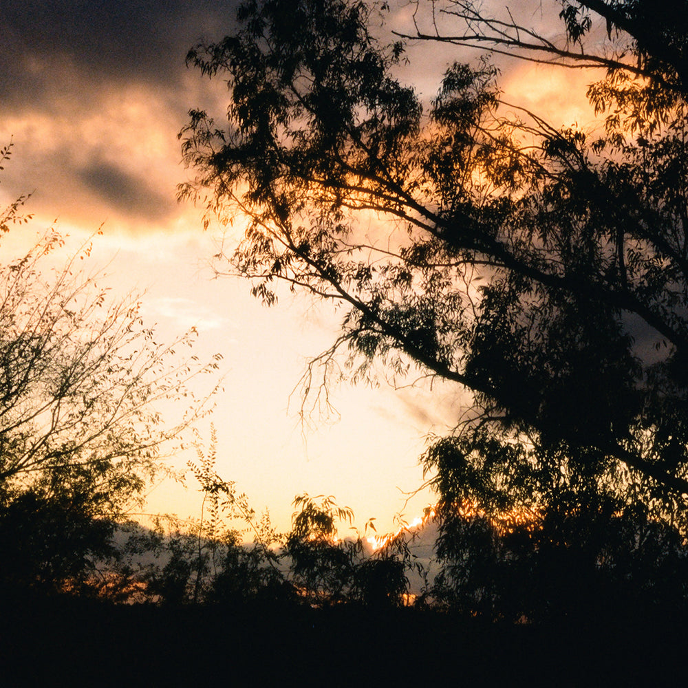 Petrichor Soap Brick