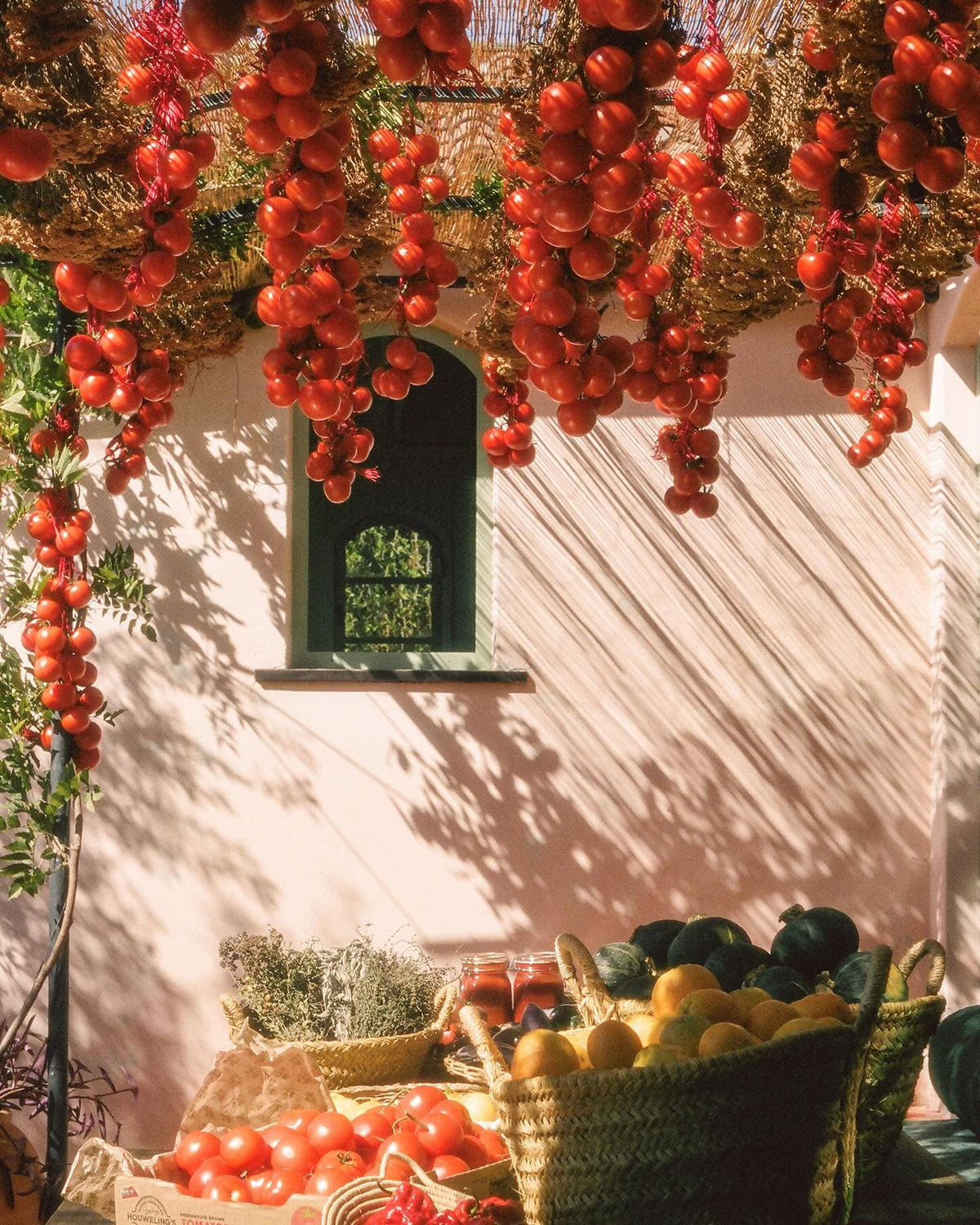 Tomatoes hang in bunches under sunlight above baskets of fresh produce.