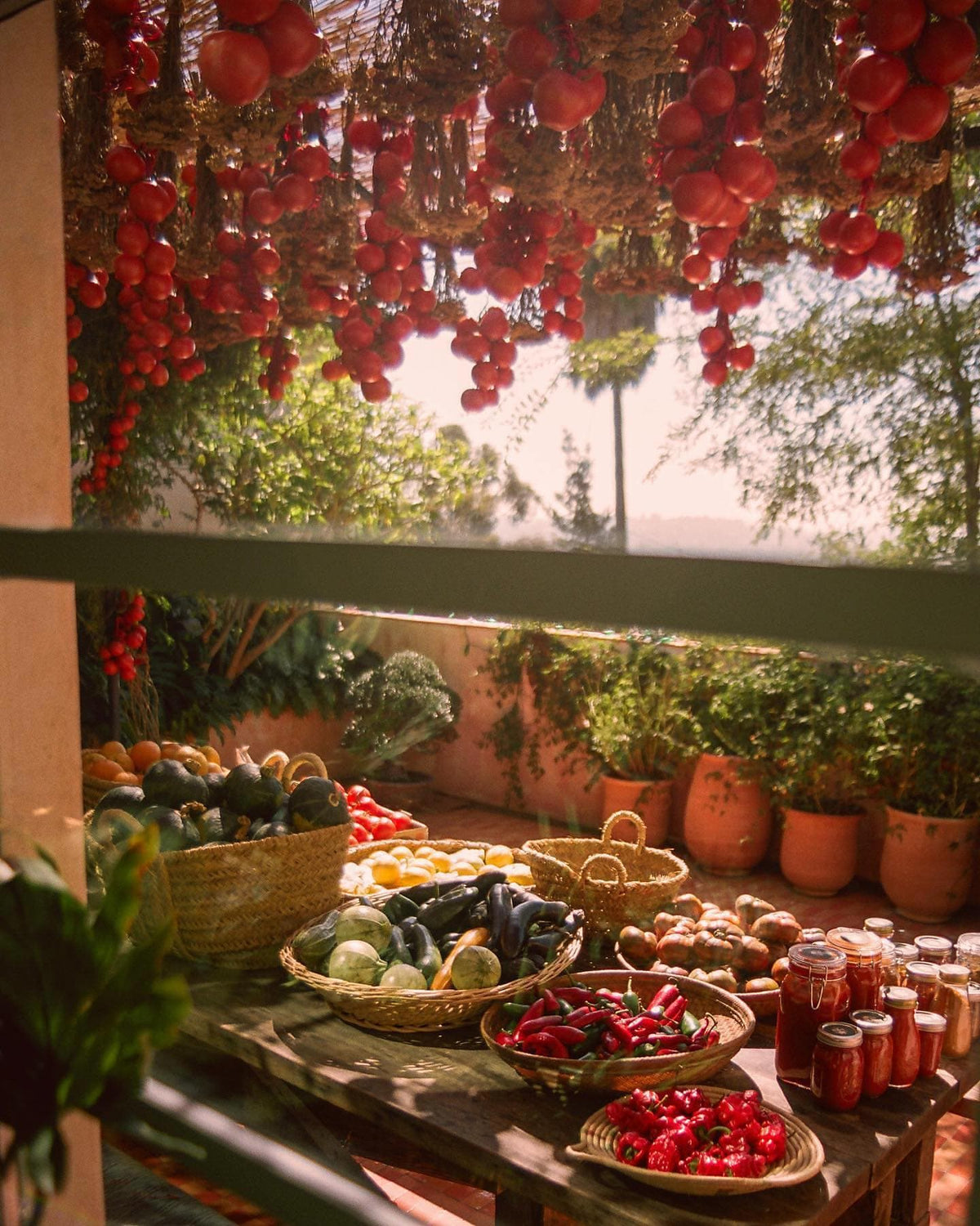 Personalized Heirloom Tomato Candle - Flamingo Estate