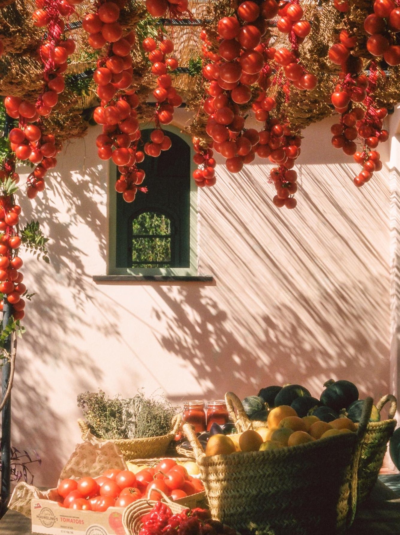 Heirloom Tomato Dish Soap – Flamingo Estate