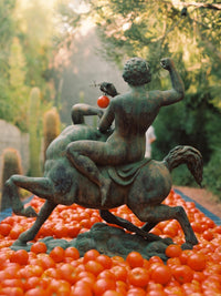 Roma Heirloom Tomato Dish Soap