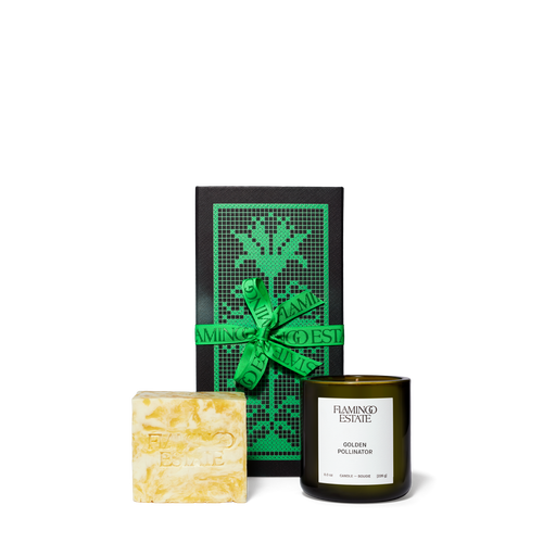 Flamingo Estate Golden Pollinator Duo