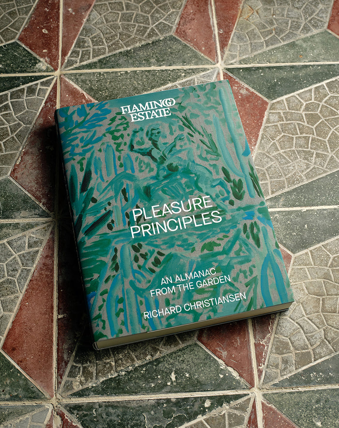 My New Book