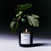 Sappho Fig Candle