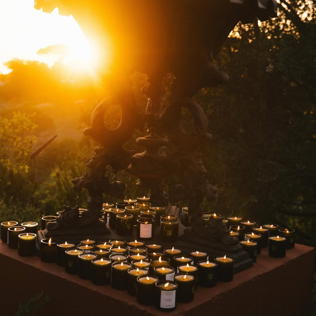 Ancient Agrigento Olive Tree Candle - Flamingo Estate