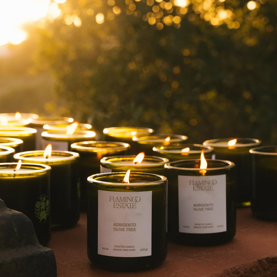 Flamingo Estate Ancient Agrigento Olive Tree Candle - Thumbnail 3