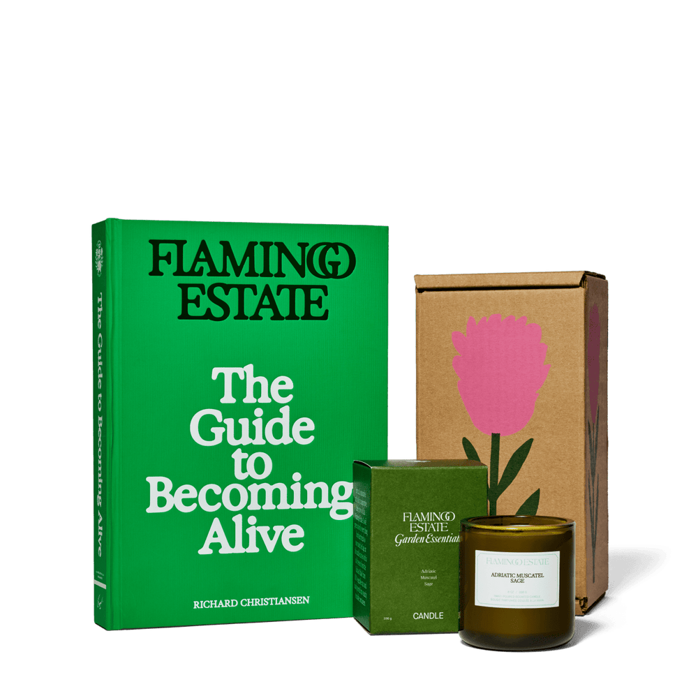 The Book Worm Set - Flamingo Estate