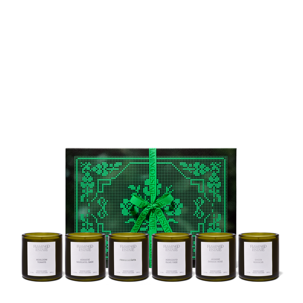 The Candle Greats Kit – Flamingo Estate