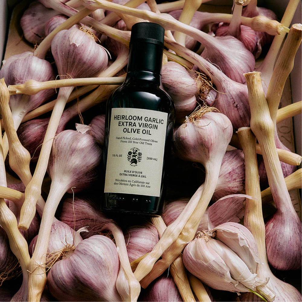 Mini Heirloom Garlic Olive Oil