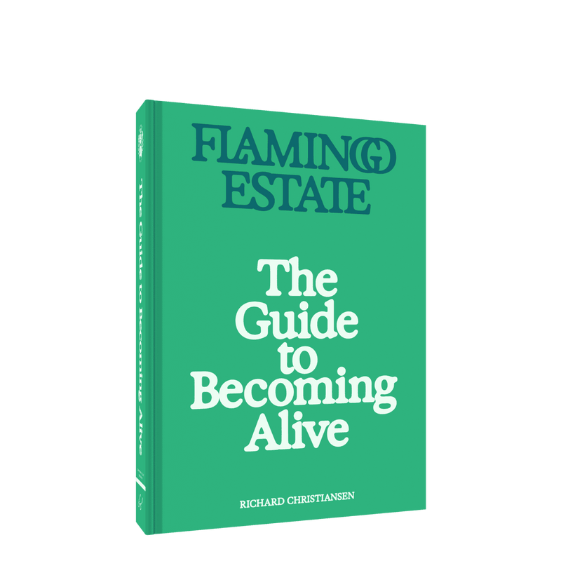 The Guide to Becoming Alive - Flamingo Estate