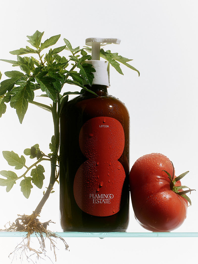 Roma Heirloom Tomato Hand Care Duo - Flamingo Estate