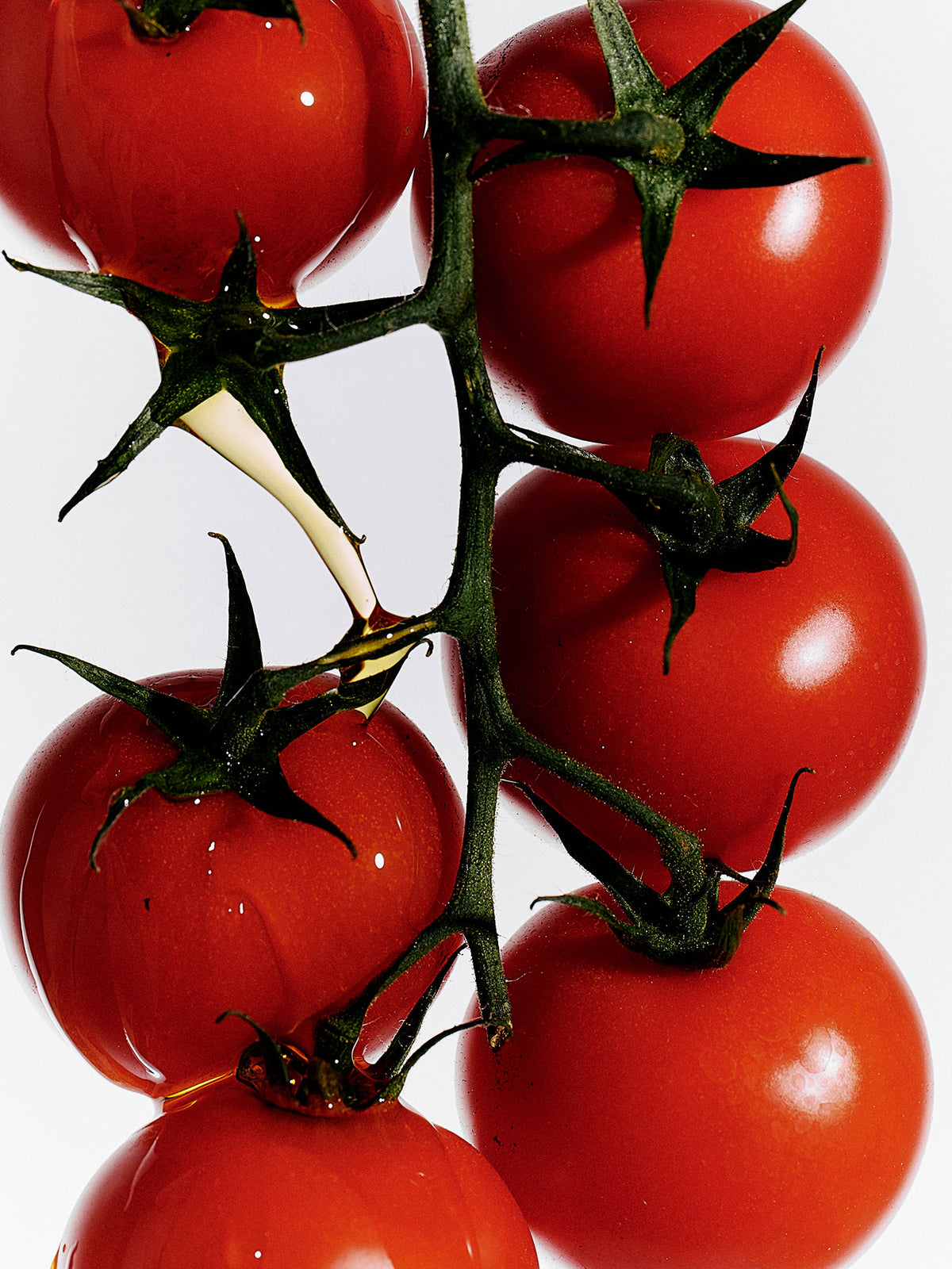 Tomatoes on a Vine