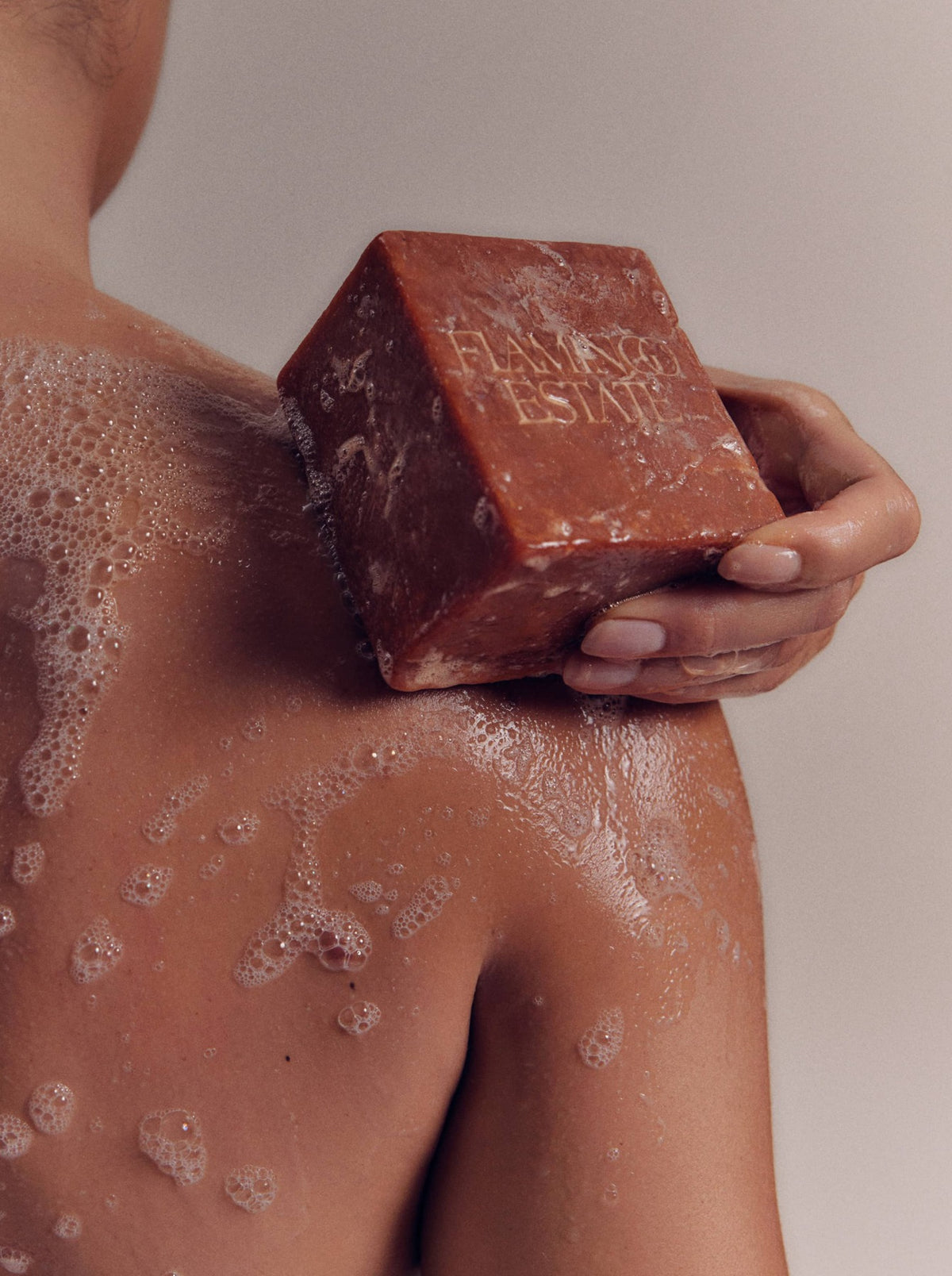 Tomato soap brick cleaning skin