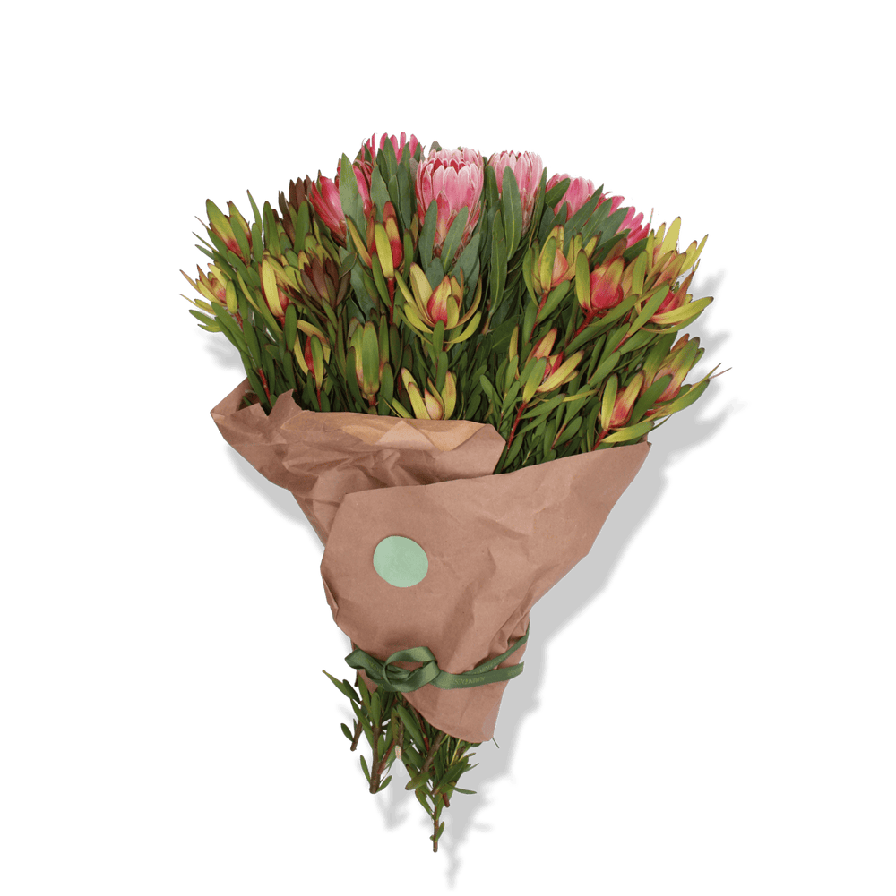 Valentine’s Day Proteas - Flamingo Estate