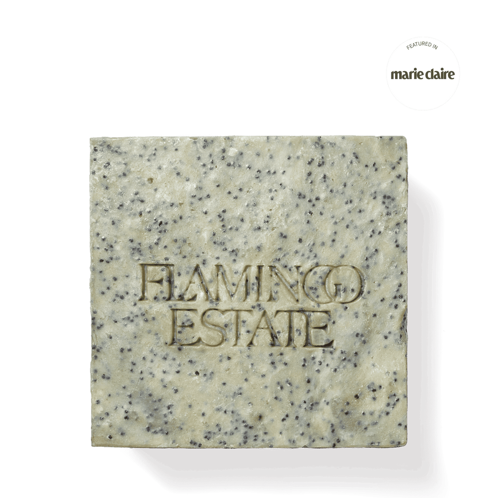 Exfoliating Peppermint Soap Brick - Flamingo Estate